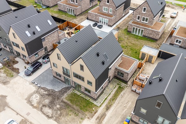 02-Moerasorchidee 13 - Lelystad.jpg